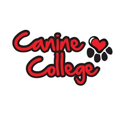 CANINE COLLEGE